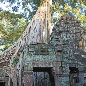  Tomb Raider Angkor Cambodia